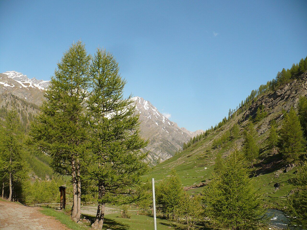 Il fondovalle a inizio giugno